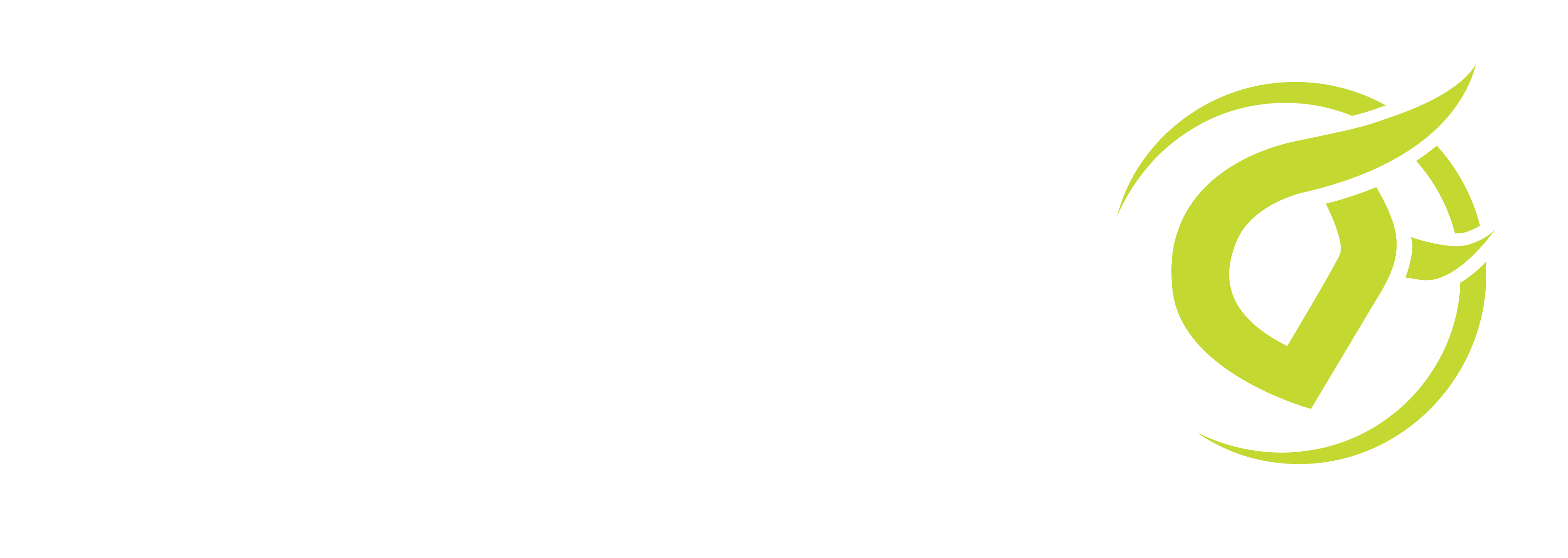bullseye logo